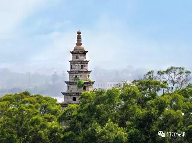 阳江最出名的10大景点在哪里（阳江八个最美公园）(10)