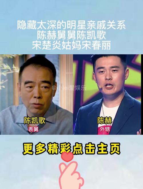 陈赫和陈凯歌什么关系