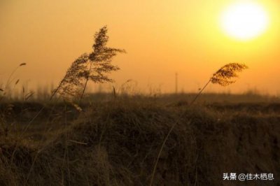 ​四川雅安甄酒价格，甄酒古道原浆42度多少钱