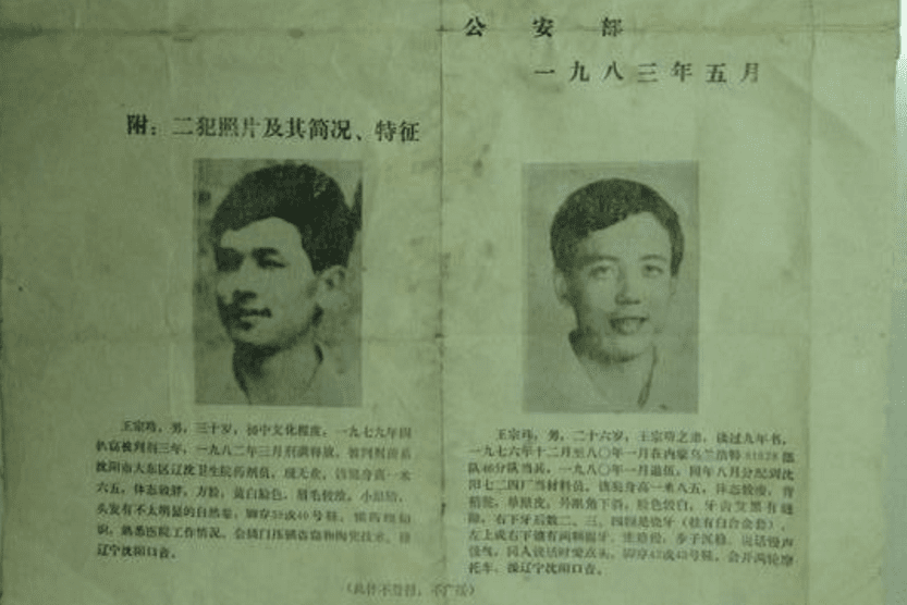 83年严厉打击刑事犯罪的起因(1983年严厉打击刑事犯罪真相)