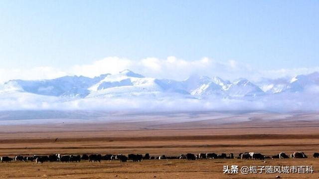 塔城地区有几个县(新疆塔城地区有哪些县)