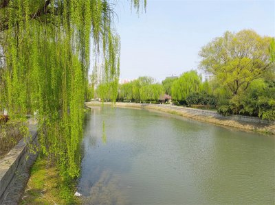 ​邯郸滏阳河(邯郸滏阳河简介)