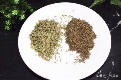 ​茴香和孜然一样吗(茴香和孜然的区别)