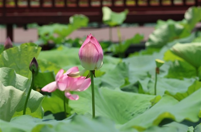 简短有男神范儿的网名(85个)