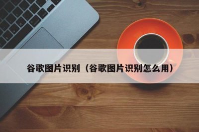 ​谷歌图片识别（谷歌图片识别怎么用）