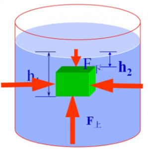​浮力公式详解大全（浮力了解吗？）