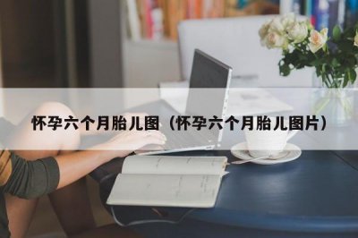 ​怀孕六个月胎儿图（怀孕六个月胎儿图片）