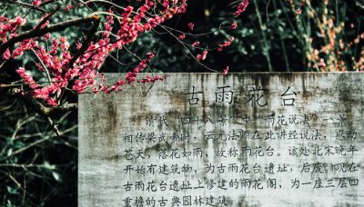 ​雨花台是哪里的 雨花台介绍