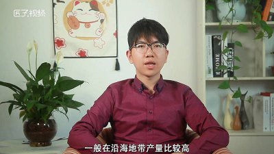 ​青口和青口贝的区别 青口和青口贝一样么