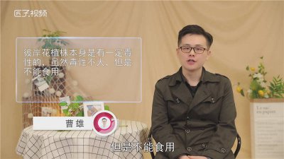 ​彼岸花是什么花有毒吗 黑色彼岸花有毒吗