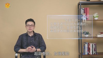 ​水果玉米和普通玉米有什么区别 水果玉米与普通玉米的区别图片