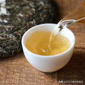 ​茶叶有苦味是低档茶吗（好茶的口感是什么样的）