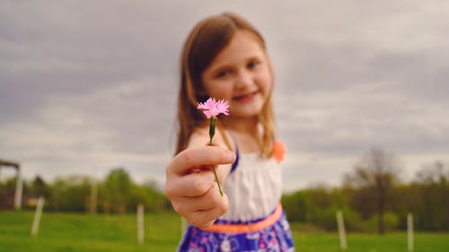 窈窕淑女 月貌花容的女孩名字