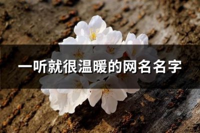 ​一听就很温暖的网名名字(共443个)