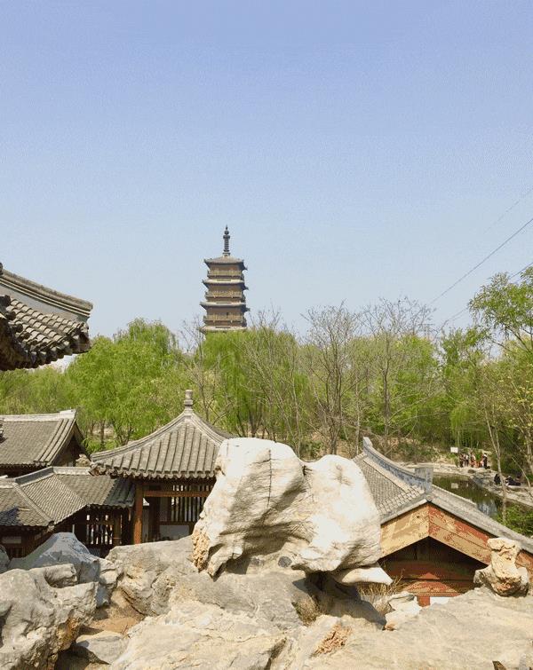 北京市农林科学研究院“樱花基地”, 堪比苏州大园林