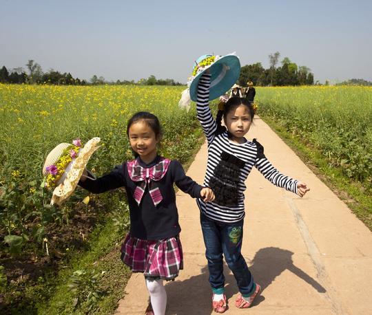 太极老祖陈抟故里 万亩油菜花之乡