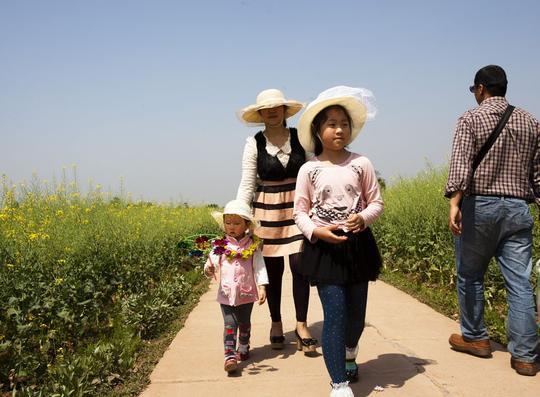 太极老祖陈抟故里 万亩油菜花之乡