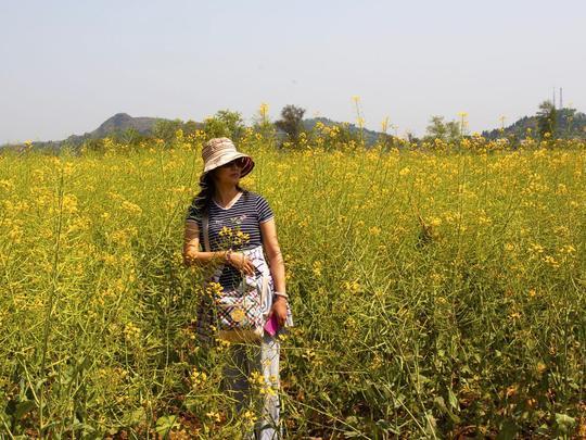 太极老祖陈抟故里 万亩油菜花之乡