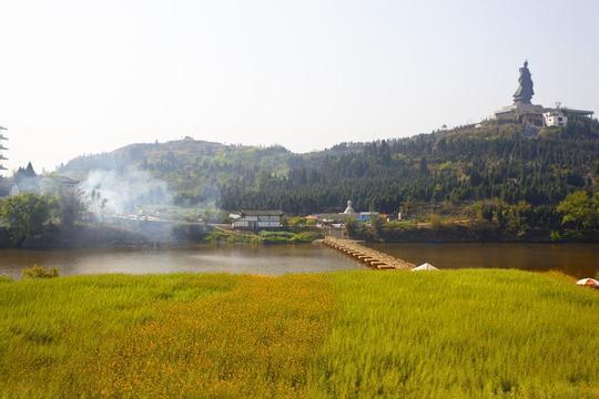 太极老祖陈抟故里 万亩油菜花之乡