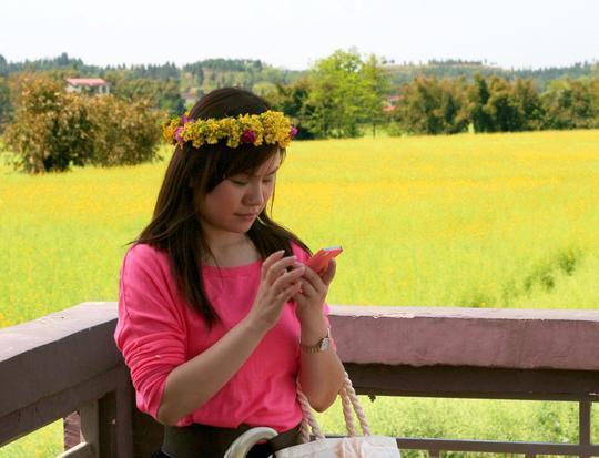 太极老祖陈抟故里 万亩油菜花之乡