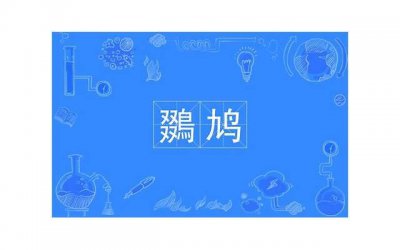 ​从热情到冷漠句子精选172句