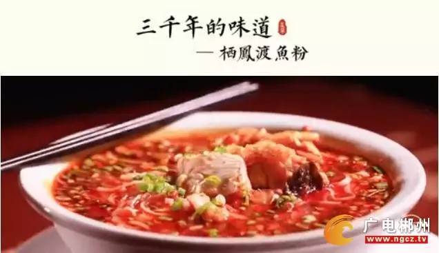 下载澳门资料大全，显着精选答案落实_应用版2.4