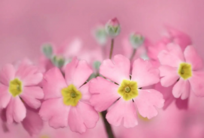 ​腊八节发朋友圈的说说 朋友圈腊八节祝福的话